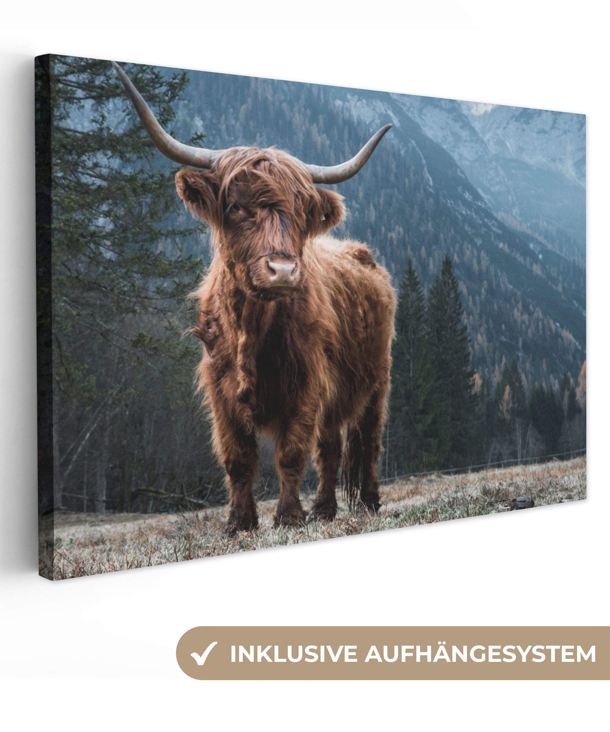 OneMillionCanvasses® Leinwandbild Schottische Highlander - Berg - Landschaf günstig online kaufen