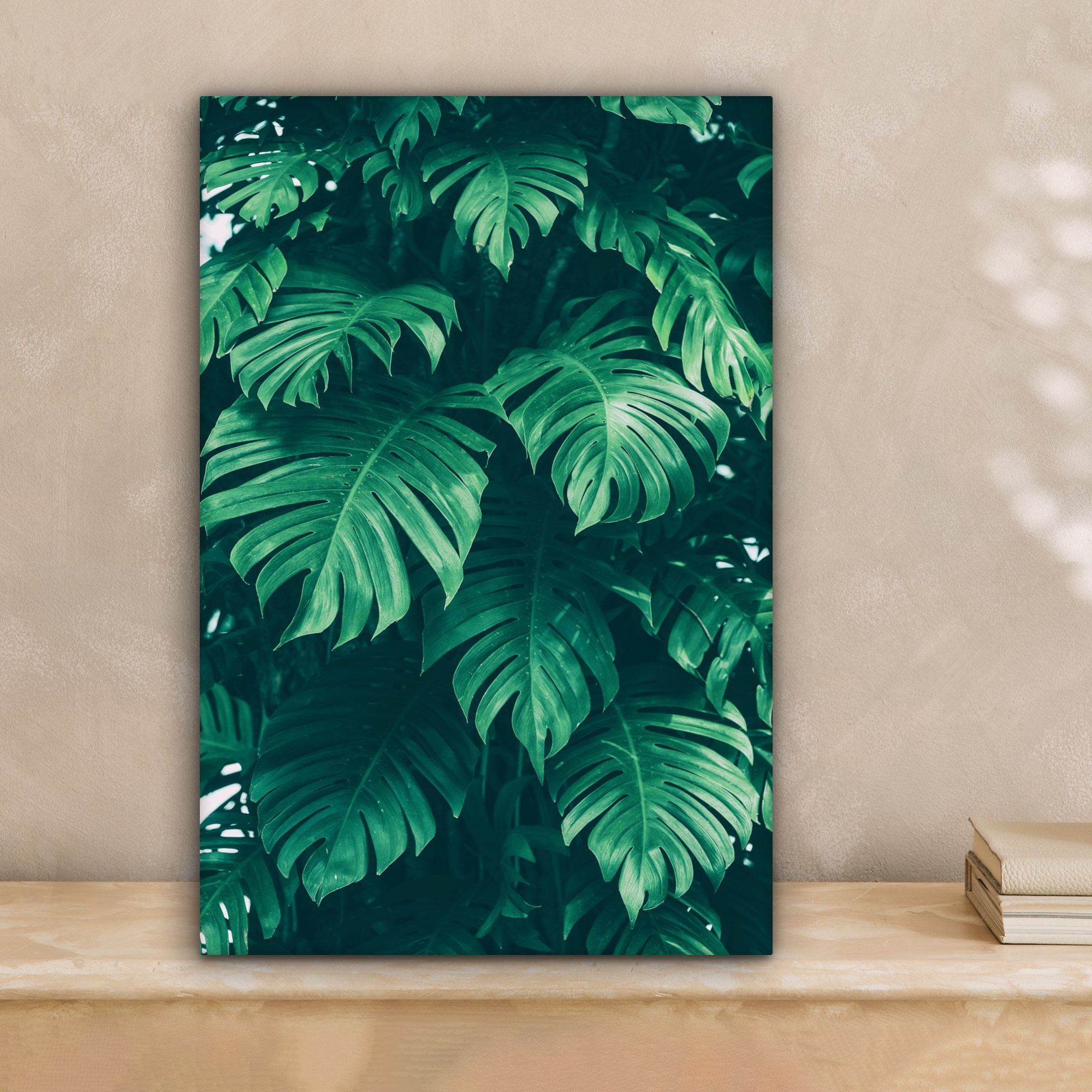 OneMillionCanvasses® Leinwandbild Monstera - Blätter - günstig online kaufen