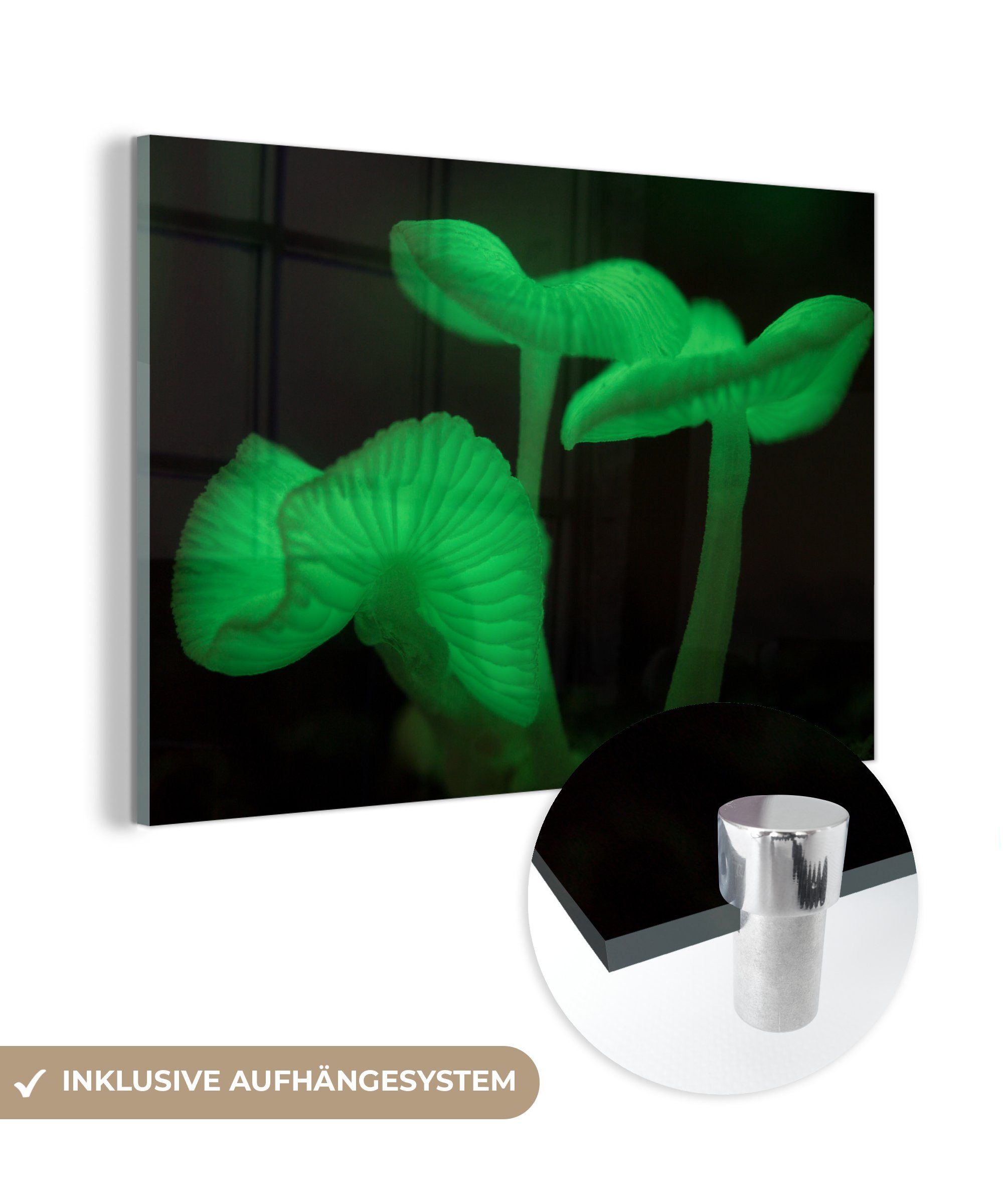 schwarzem Wohnzimmer St), Acrylglasbilder & Grüne Hintergrund, Pilze MuchoWow Schlafzimmer (1 Acrylglasbild vor