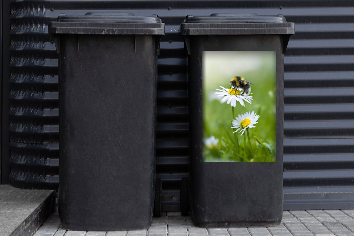 - Mülltonne, Blumen - Sticker, Abfalbehälter Wandsticker St), Mülleimer-aufkleber, Hummel Gänseblümchen Container, (1 MuchoWow