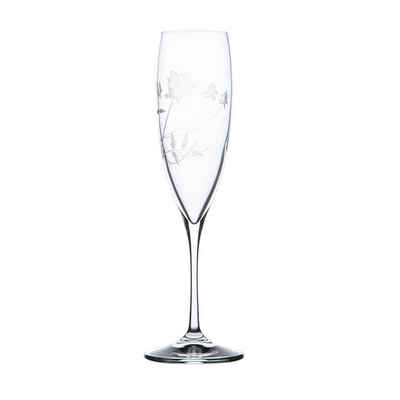 ARNSTADT KRISTALL Champagnerglas Sektglas Champagneglas Liane clear (23,8 cm) - Kristallglas mundgeblas