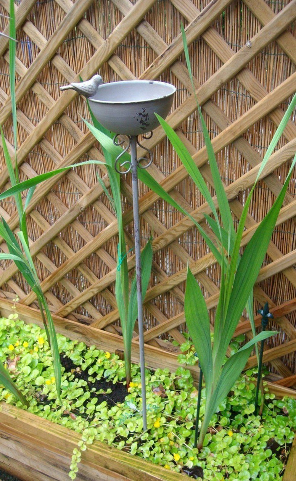 Deko-Impression Vogeltränke Vogeltränke auf Stab, Futterstelle, Gartenstab, Gartenstecker, Eisen