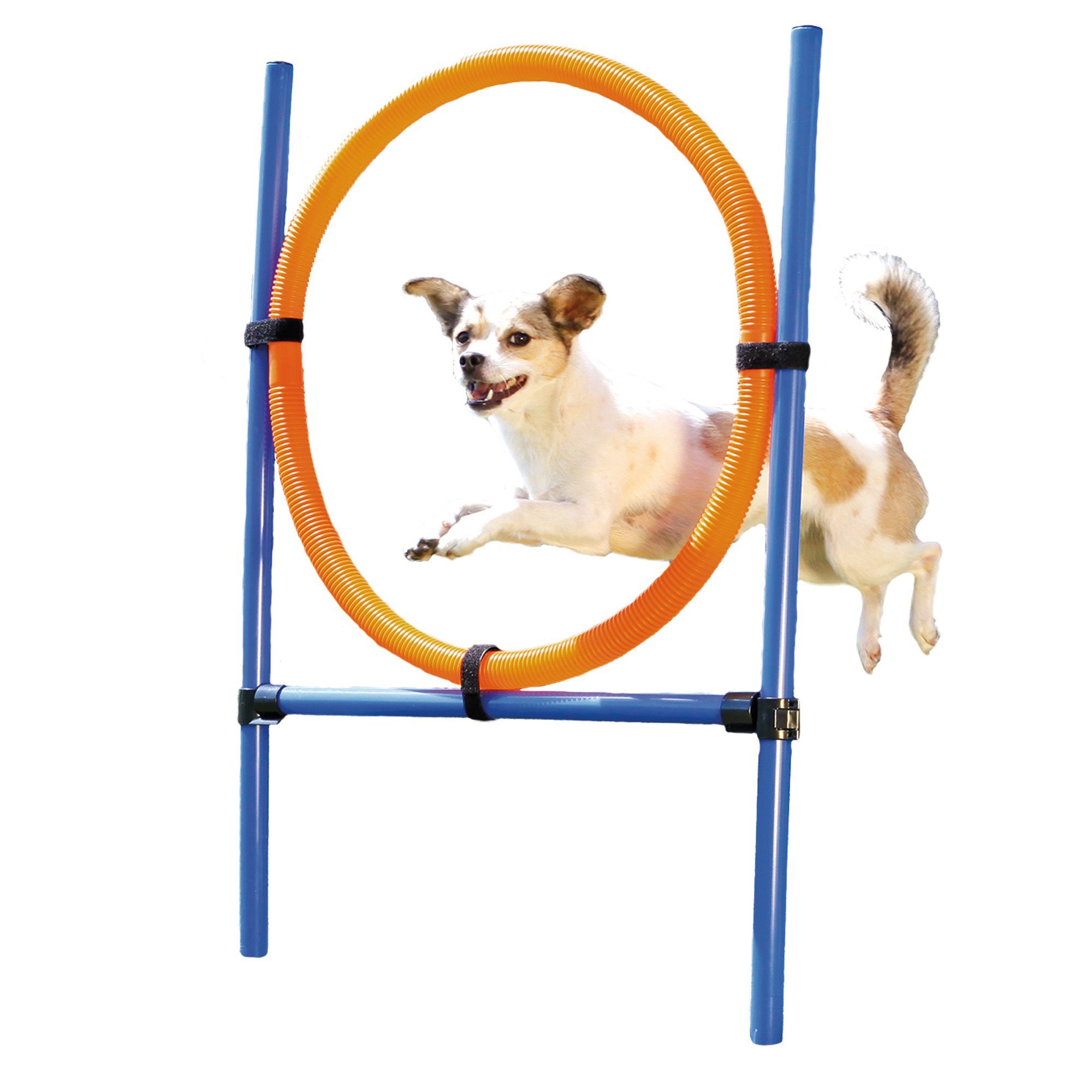 Procyon Agility-Reifen Agility Reifen Set, Kunststoff, (12-tlg) stufenlos höhenverstellbar