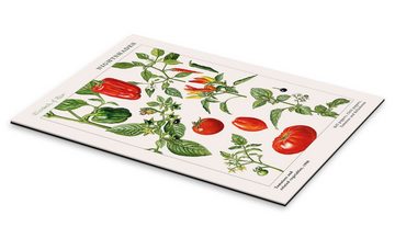 Posterlounge XXL-Wandbild Elizabeth Rice, Tomaten und andere Nachtschattengewächse, 1986, Esszimmer Vintage Illustration