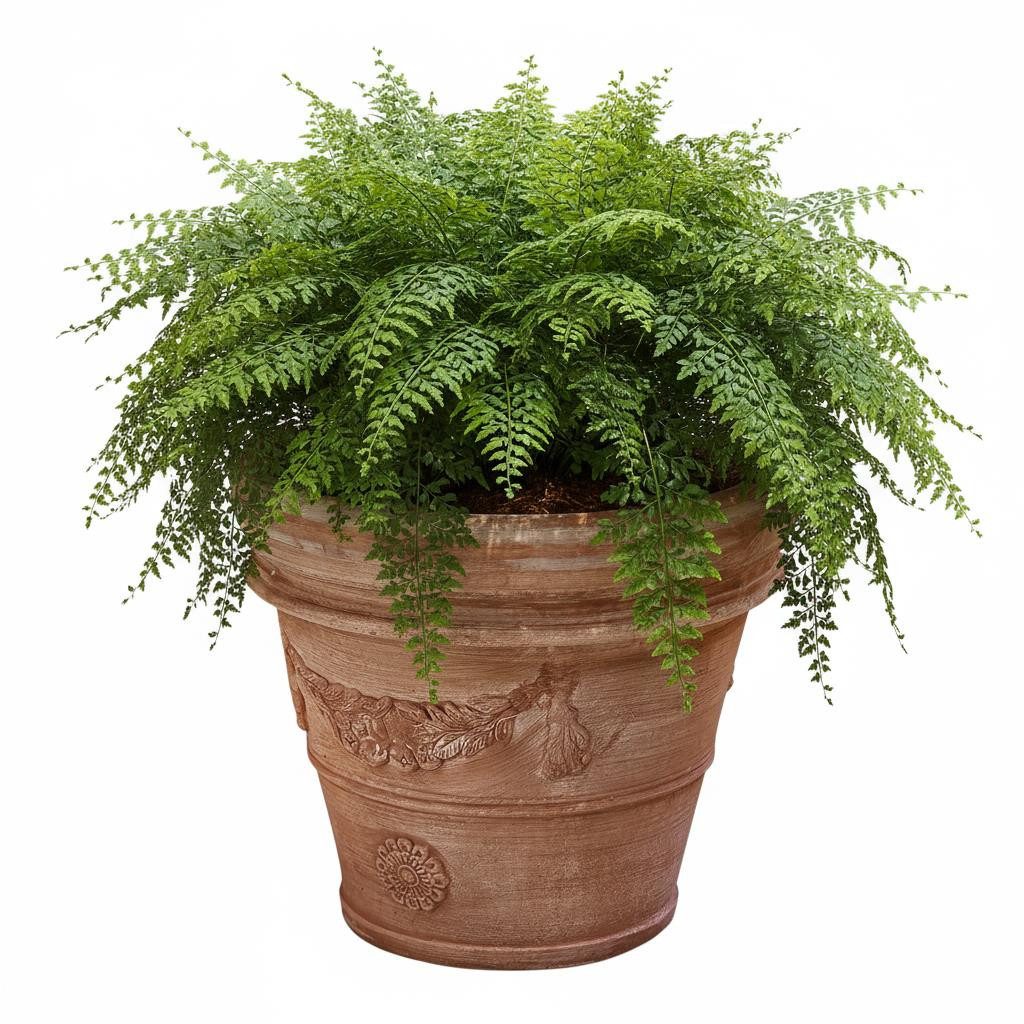 Teramico Плантатор Pflanzgefäß Terrakotta Modell "Doppio Bordo Festonato" 45cm, 100% Frostfest