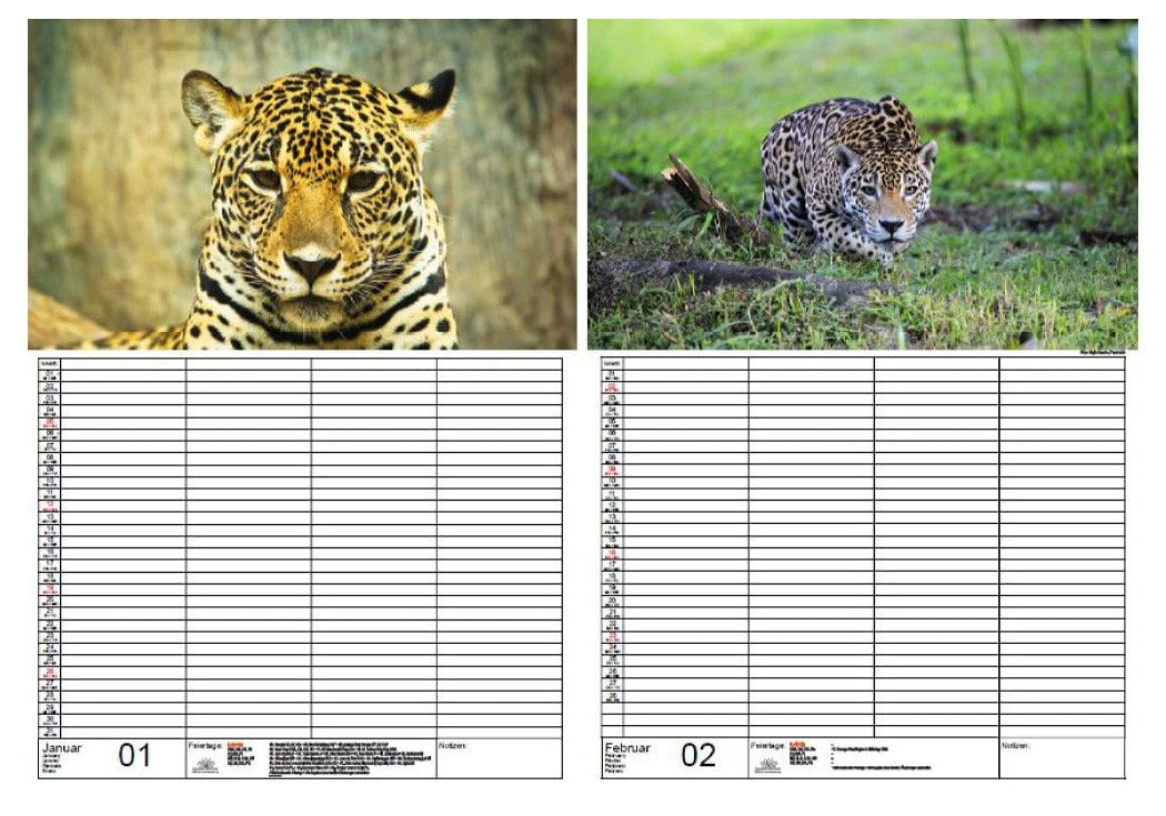 Thumbnail - Seelenzauber Familienkalender Jaguarzauber Familien Planer Kalender für 2025 DIN A3 Raubkatze Jaguar