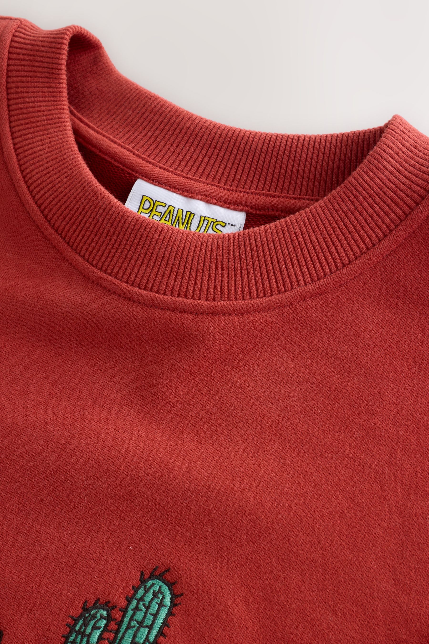 Next Sweater Lizenziertes Rundhalssweatshirt mit Grafik, Snoopy (1-tlg)