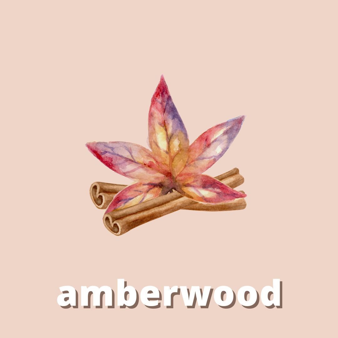 DistrEbution Duftöl Amberwood Duftstoff für Kerzen & Seifen, Amberwood-Duft für Kerzen, Kosmetik und Seifen