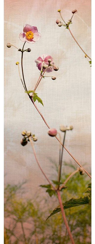 Architects Paper Fototapete Romance, (1 St), Floral Tapete Blumen Fototapete Natur Panel 1,00m x 2,80m