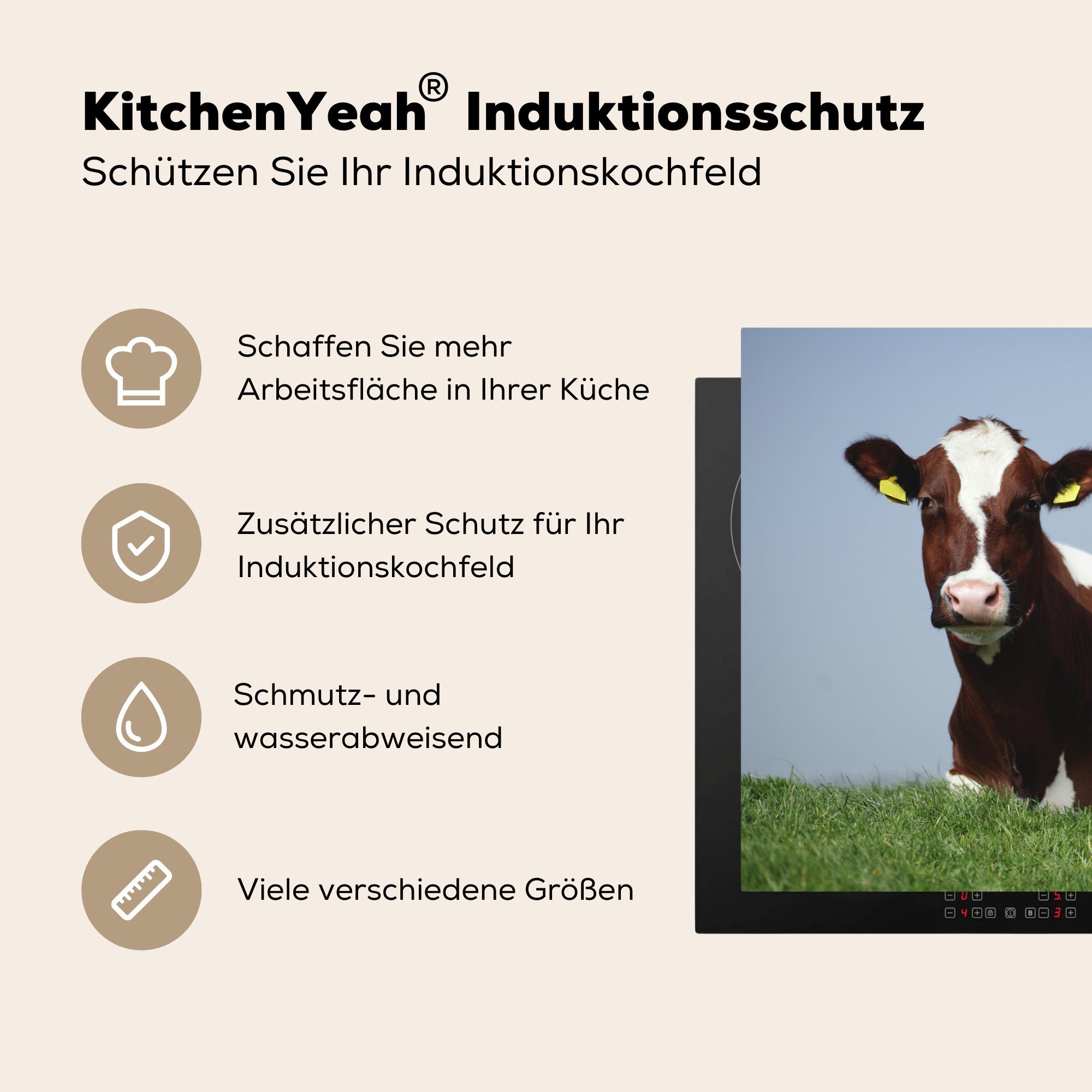 - Vinyl, cm, küche, Schutz Induktionskochfeld Gras Kühe (1 Ceranfeldabdeckung die Herdblende-/Abdeckplatte 81x52 - tlg), Friesland, MuchoWow für