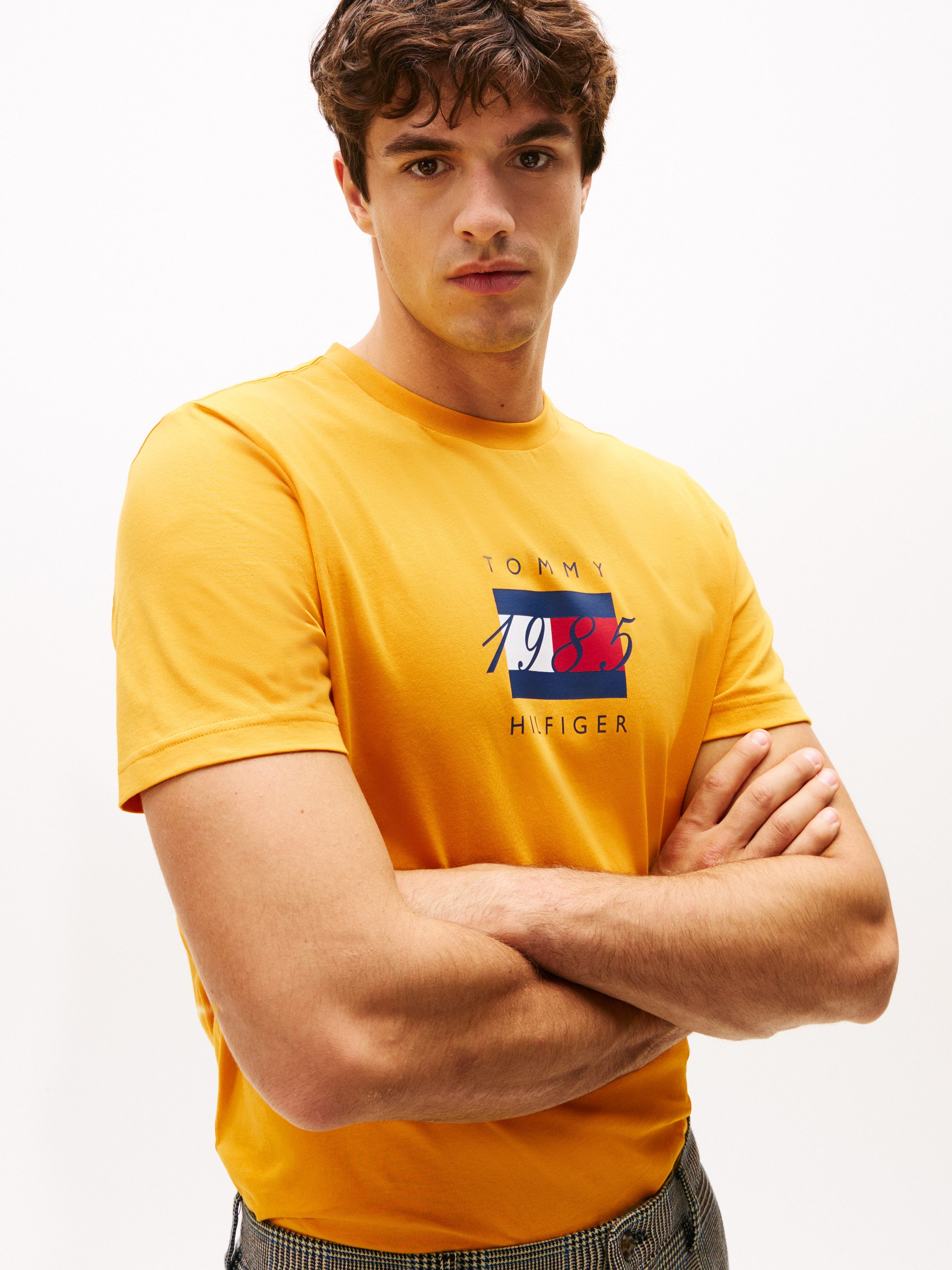 Tommy Hilfiger T-Shirt LINEAR FLAG GRAPHIC günstig online kaufen