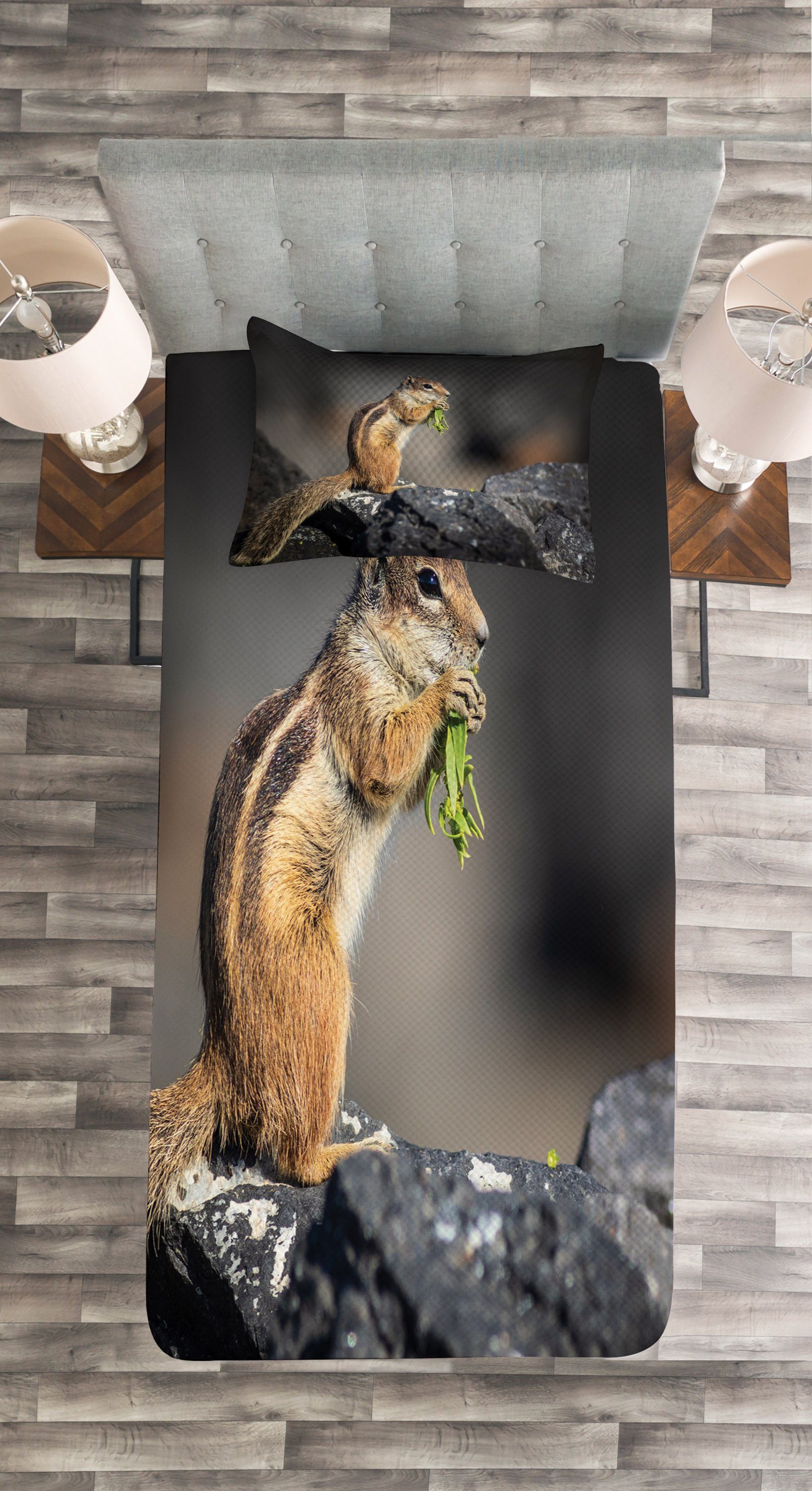 Set Barbary-Grund Eichhörnchen Abakuhaus, Tagesdecke Mahlzeit Kissenbezügen mit Waschbar, Photo
