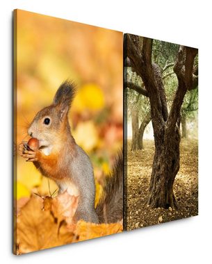 Sinus Art Leinwandbild 2 Bilder je 60x90cm Eichhörnchen Süß Kuschelig Herbst Laub Baum Friedlich