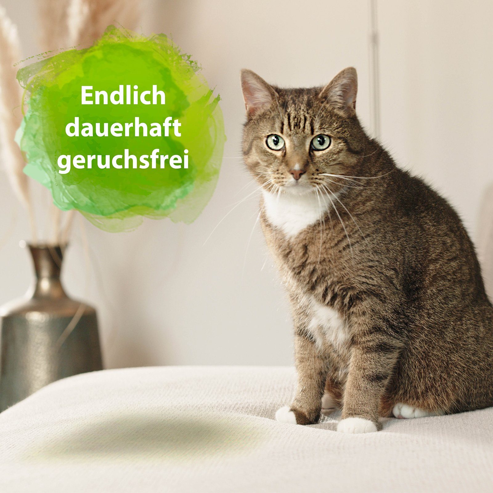 Bactador Bactador Katzentoiletten Geruchsentferner Spray 500ml Flüssigreiniger