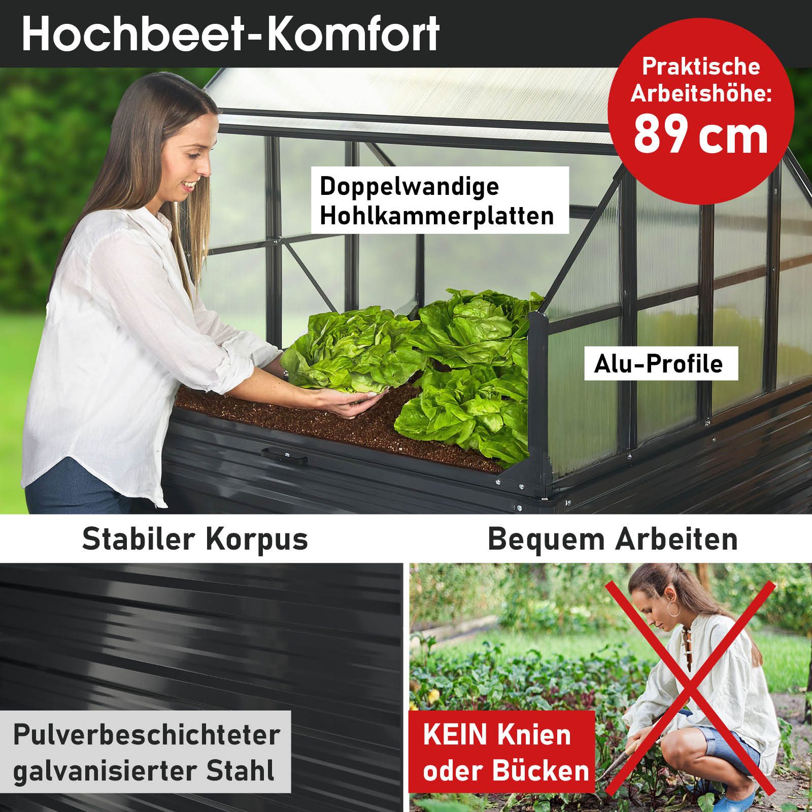 BRAST Hochbeet 2in1 mit Alu Gewächshaus...