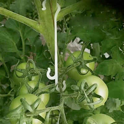 FIDDY Leisten-Befestigungsclips 200 Stück Tomatenständer J Haken Pflanzenständer Halter-Pflanzenclip, (200-St)