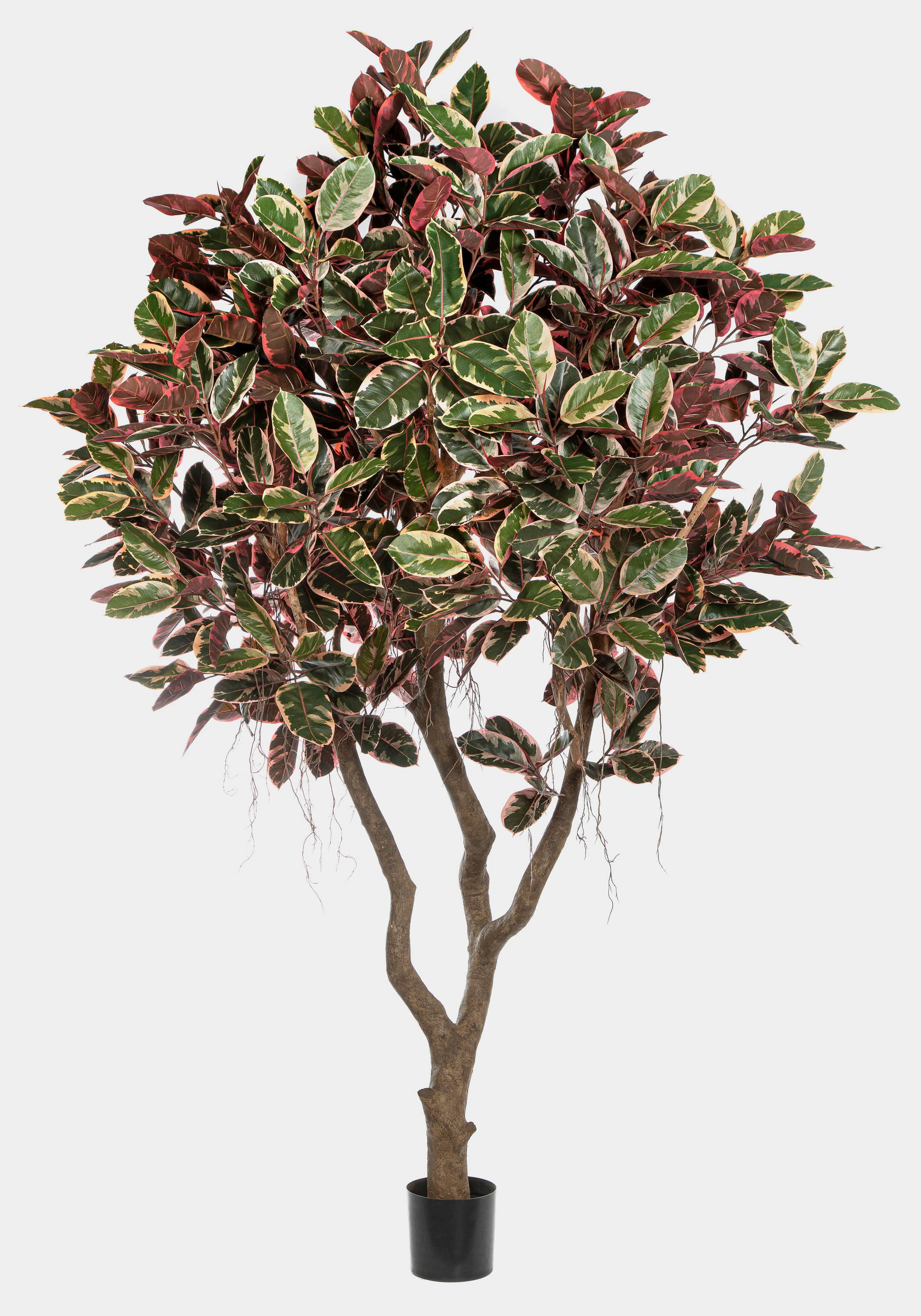 Kunstbaum Künstlicher Ficus elastica THIM, Kunststamm, rot-weiß-grün, 295cm Ficus (Gummibaum), artplants, Höhe 295.0 cm