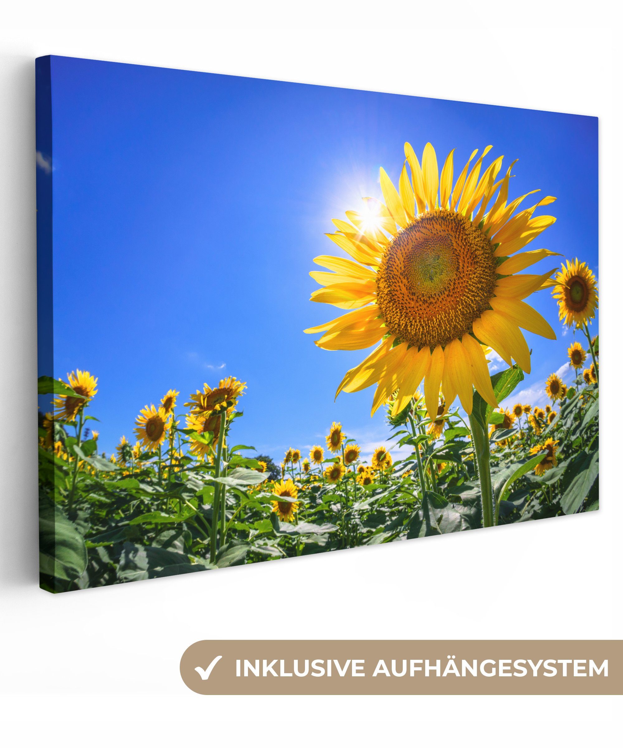 OneMillionCanvasses® Leinwandbild Sonnenblumenfeld von unten gesehen, (1 St), Wandbild Leinwandbilder, Aufhängefertig, Wanddeko, 30x20 cm