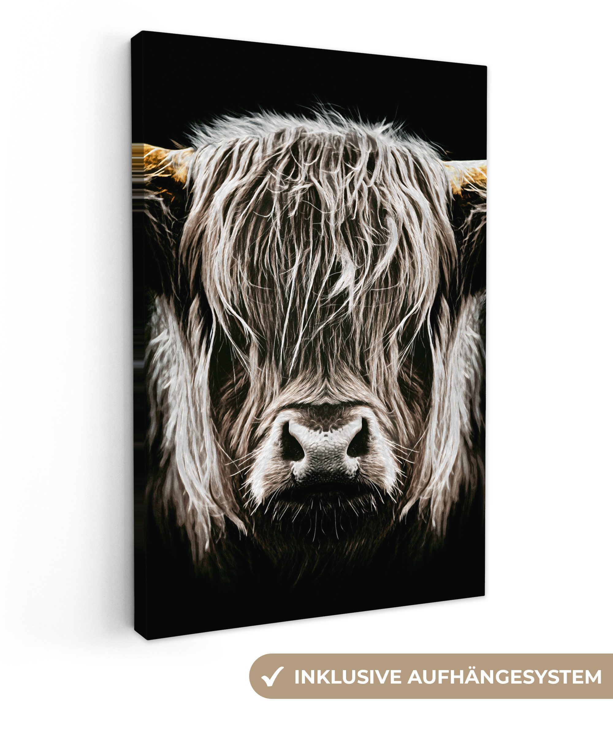 OneMillionCanvasses® Leinwandbild Schottischer Highlander - Gold - Hörner - günstig online kaufen
