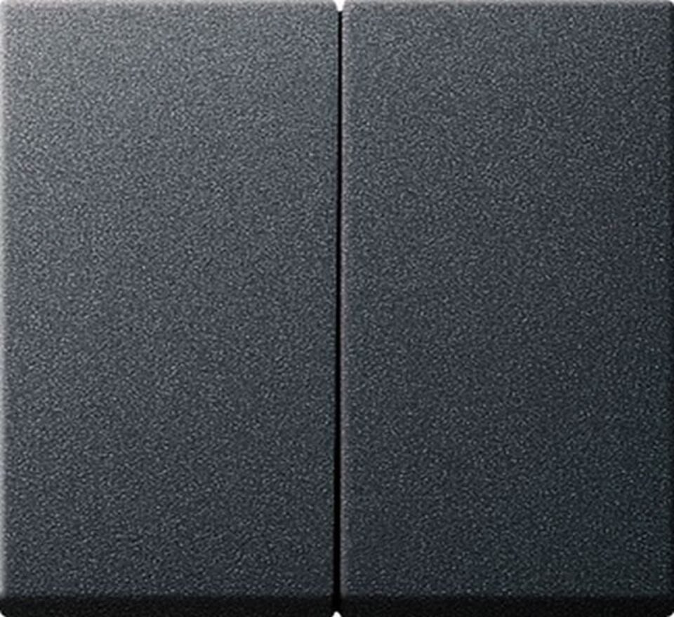 GIRA Schalter GIRA 029528 Wippe 2fach System 55 Anthrazit