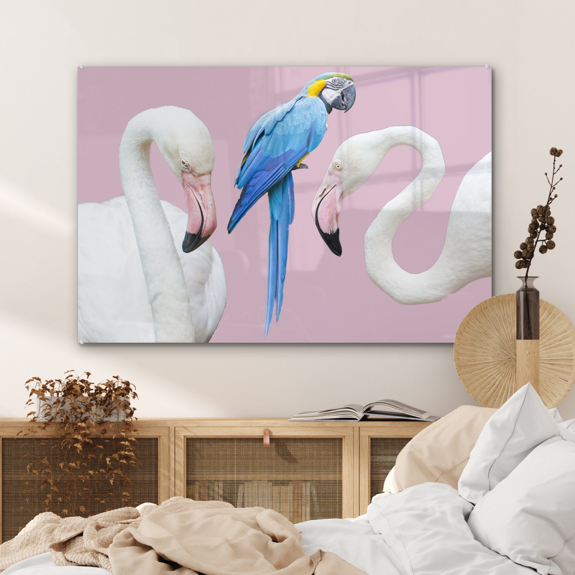 (1 Flamingo Schlafzimmer - Acrylglasbilder - MuchoWow Abstrakt, - Tiere Wohnzimmer Acrylglasbild St), Papagei &