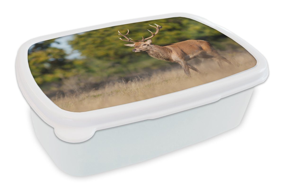 Erwachsene, und Geweihe Kunststoff, für Waldtiere - weiß Kinder Mädchen Brotbox - Lunchbox Brotdose, - Hirsche und für (2-tlg), Natur, MuchoWow - Jungs Tiere