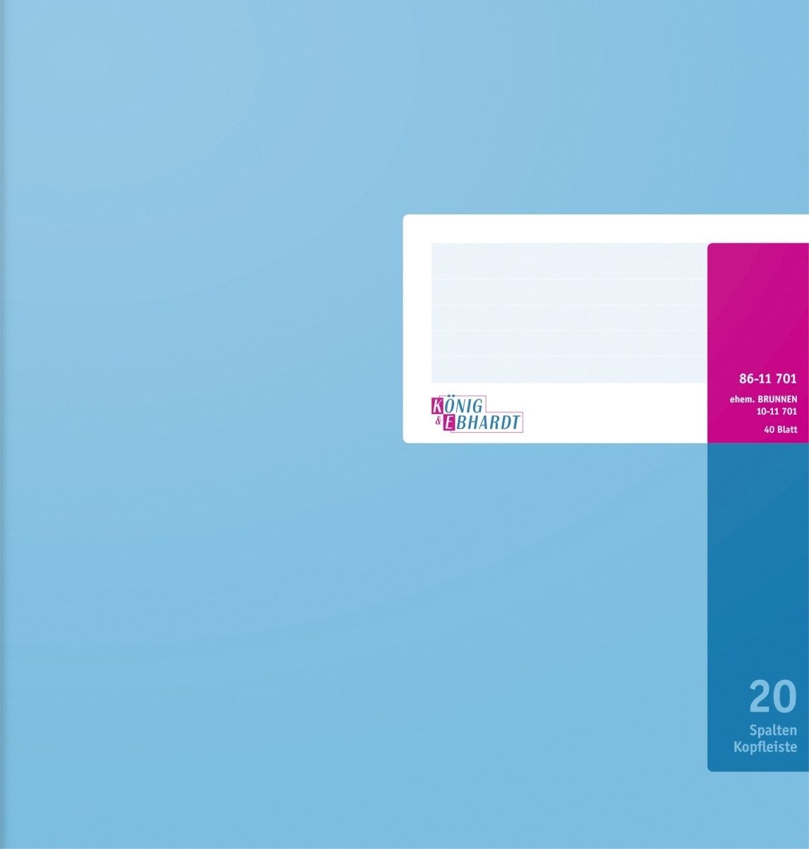 Notizbuch Spaltenbuch 27,7x29,7cm mit Kopfleiste 20 Spalten 40 Blatt hellblau