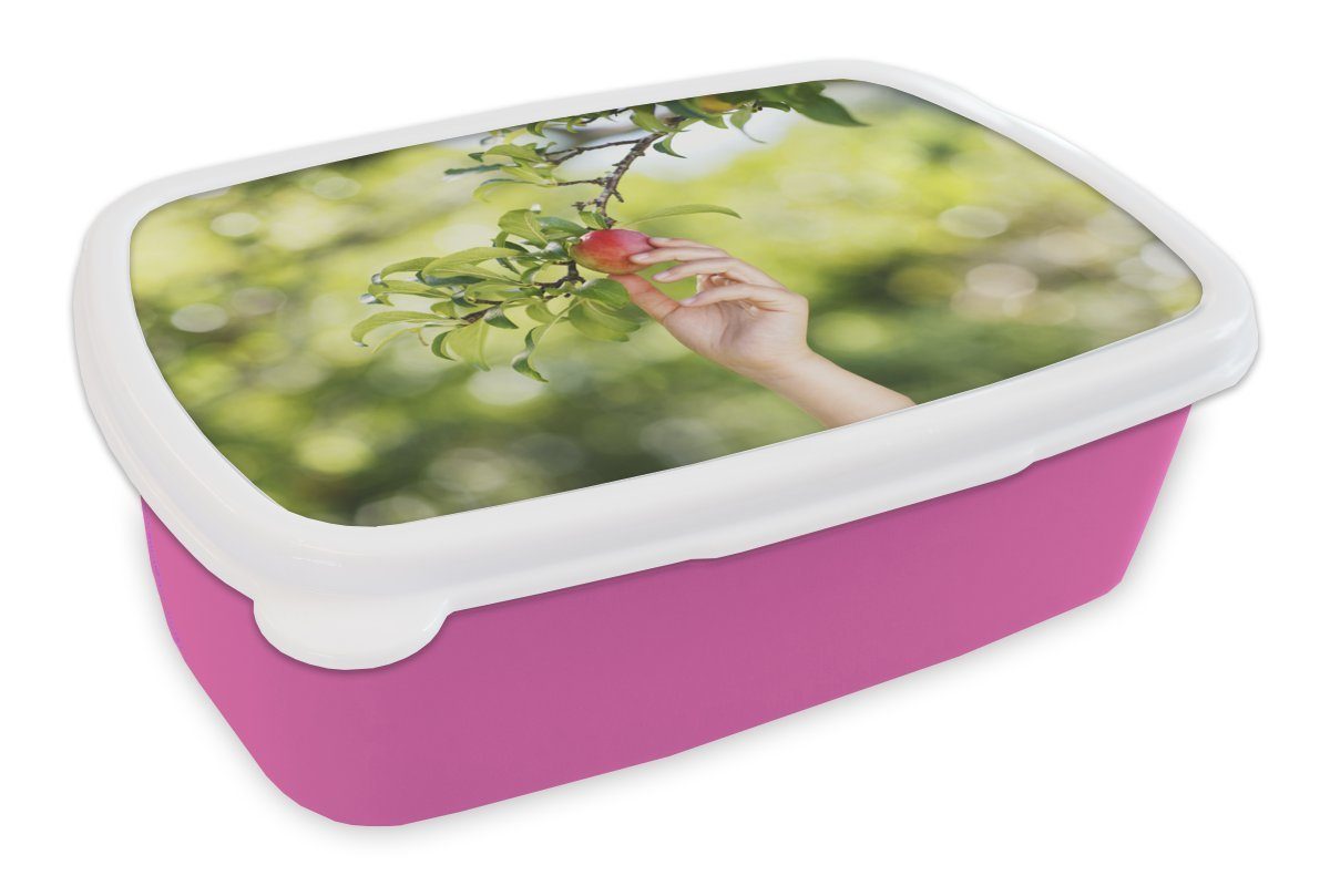 MuchoWow Lunchbox Obstbäume - Apfel, für Brotdose Kinder, Mädchen, Gemüsegarten Snackbox, Kunststoff (2-tlg), Brotbox - Kunststoff, Erwachsene, rosa