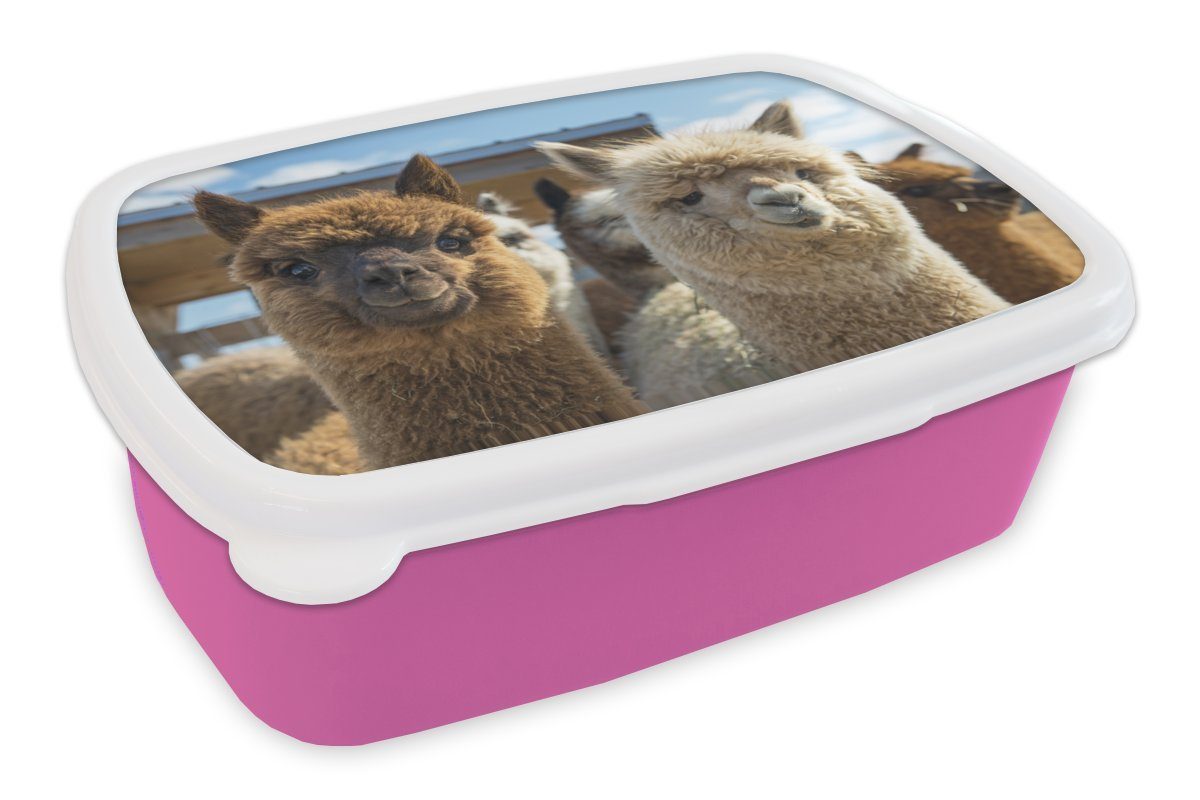 MuchoWow Lunchbox Alpaka - Fröhlich - Braun - Weiß, Kunststoff, (2-tlg), Brotbox für Erwachsene, Brotdose Kinder, Snackbox, Mädchen, Kunststoff rosa