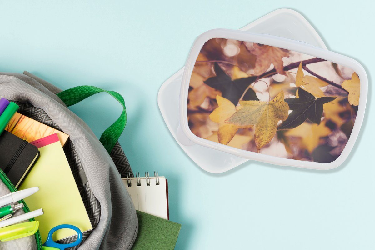 MuchoWow Lunchbox Blätter Herbst Jungs Brotdose, Kunststoff, für (2-tlg), Mädchen Ahorn für und Jahreszeiten, - und - - weiß Brotbox Erwachsene, Kinder