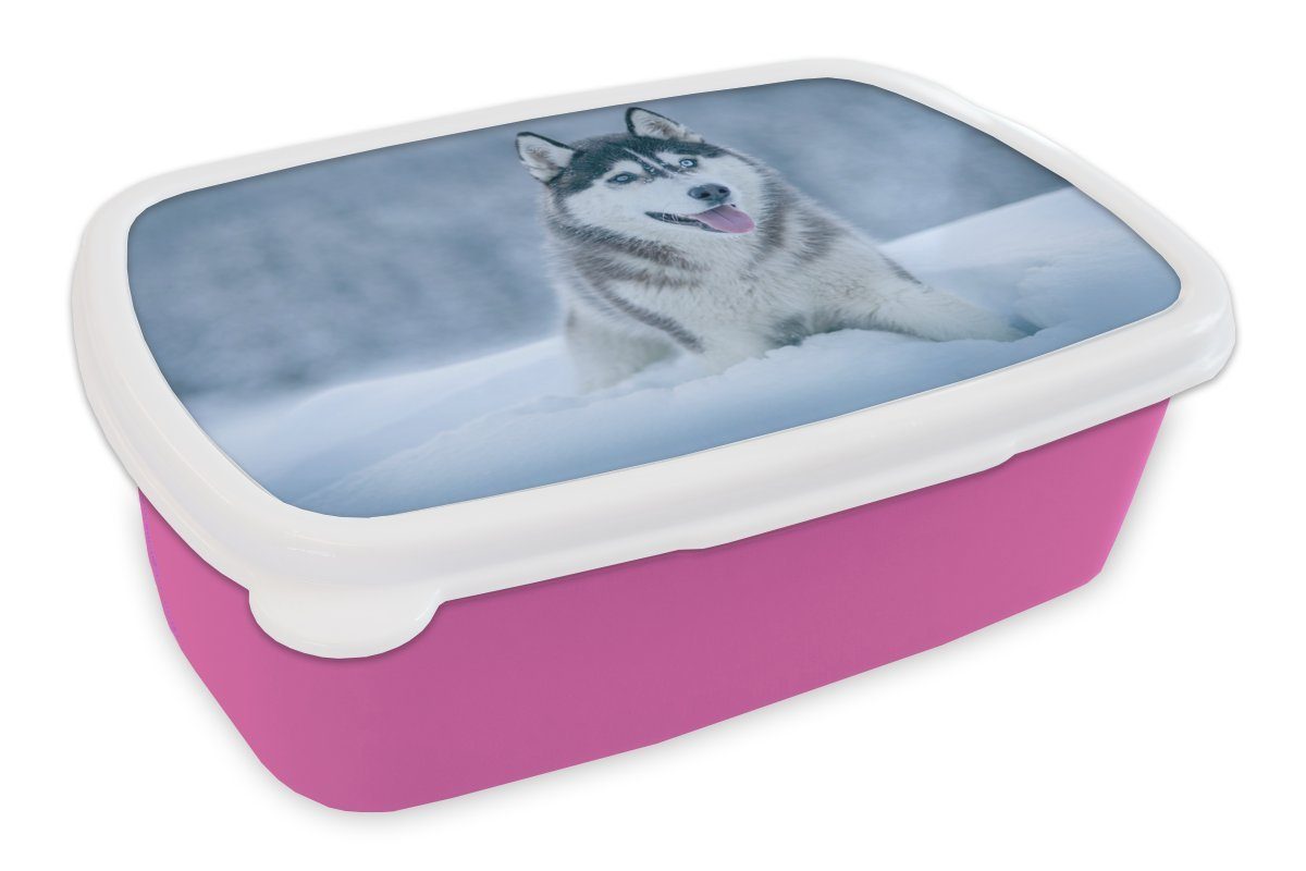MuchoWow Lunchbox Husky - Schnee - Natur, Kunststoff, (2-tlg), Brotbox für Erwachsene, Brotdose Kinder, Snackbox, Mädchen, Kunststoff rosa