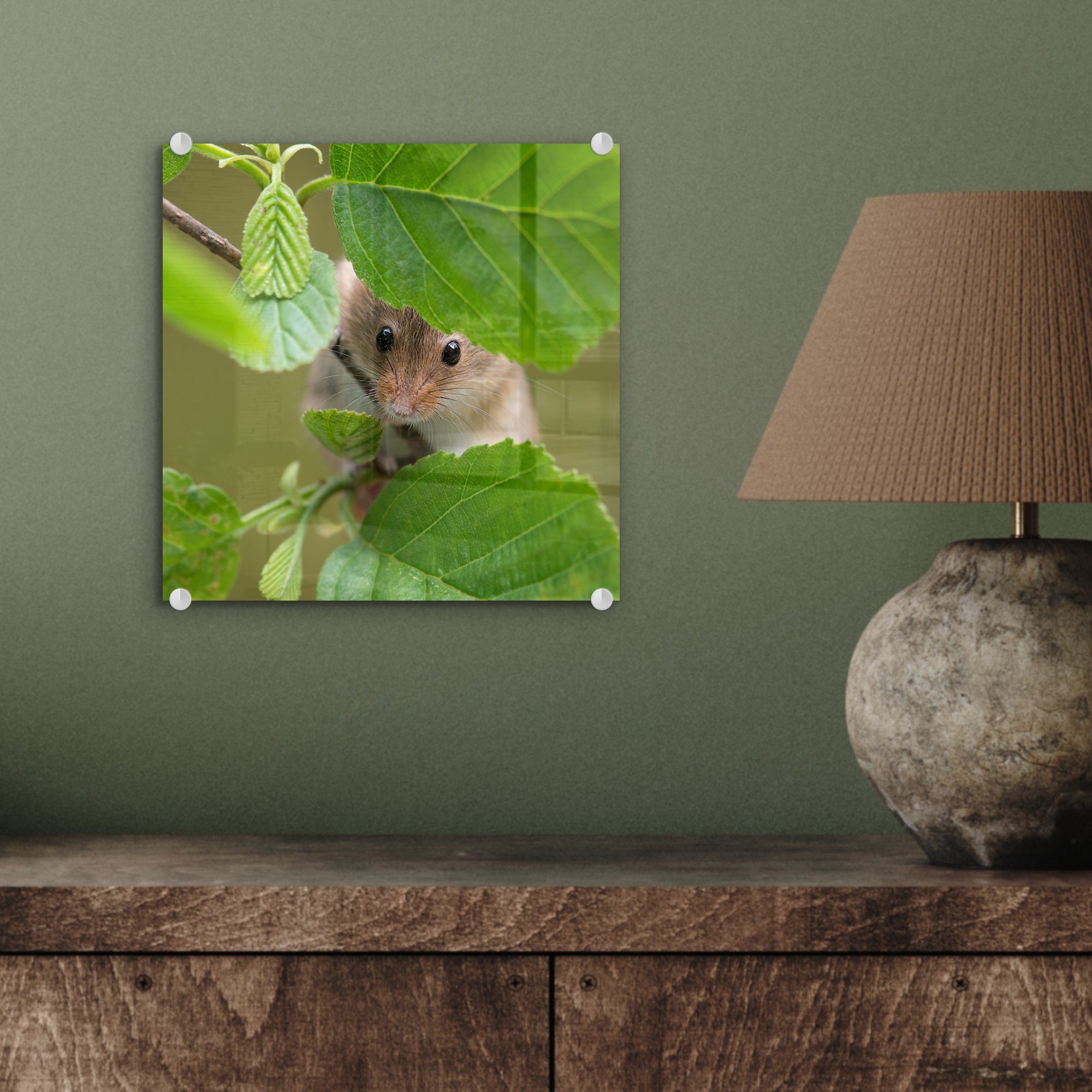 (1 Zwergmaus Glas auf Wanddekoration auf Acrylglasbild - - Blätter, - Glasbilder Glas - Bilder - St), Wandbild Foto MuchoWow Jungtiere