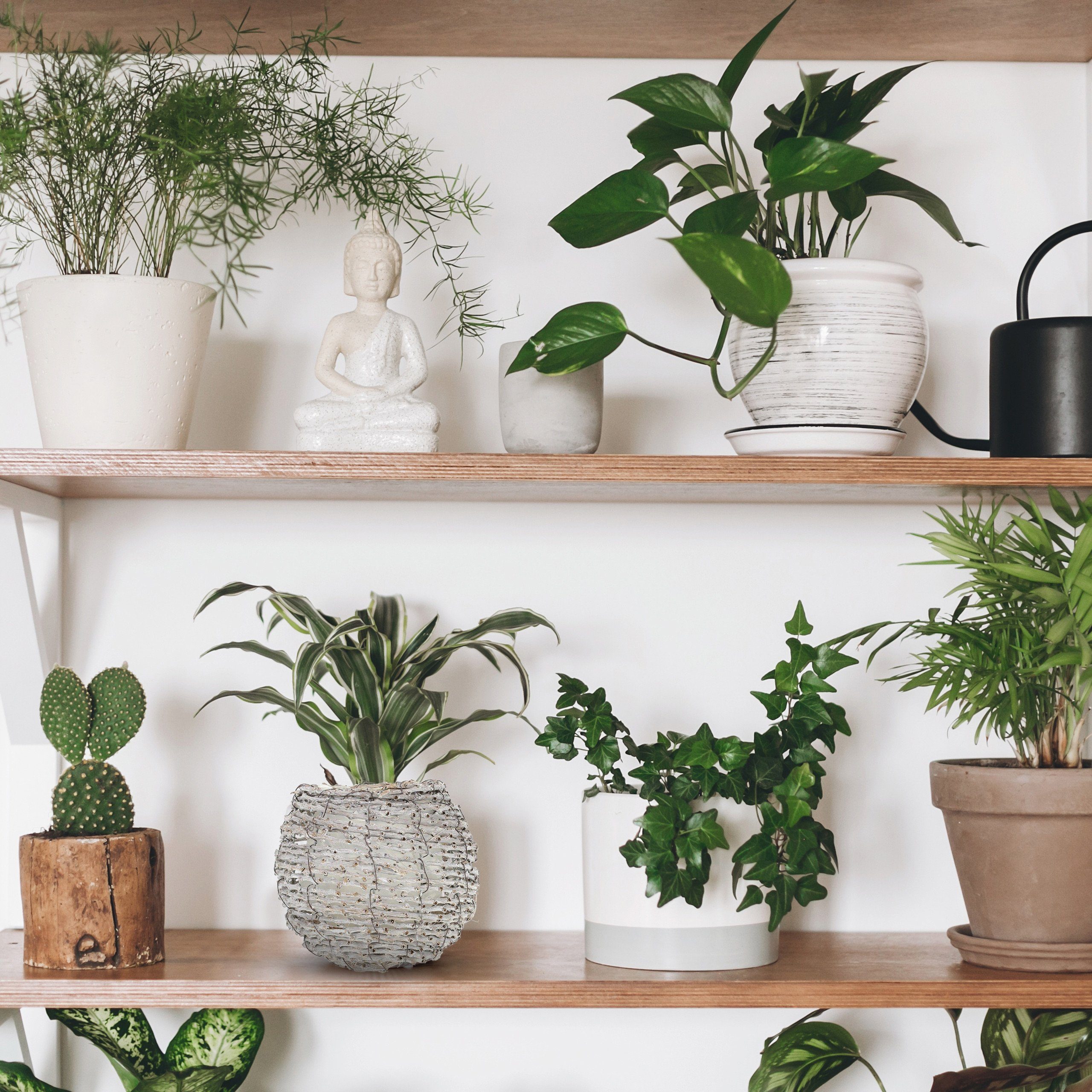 relaxdays Blumentopf Runder Blumentopf im 2er günstig online kaufen