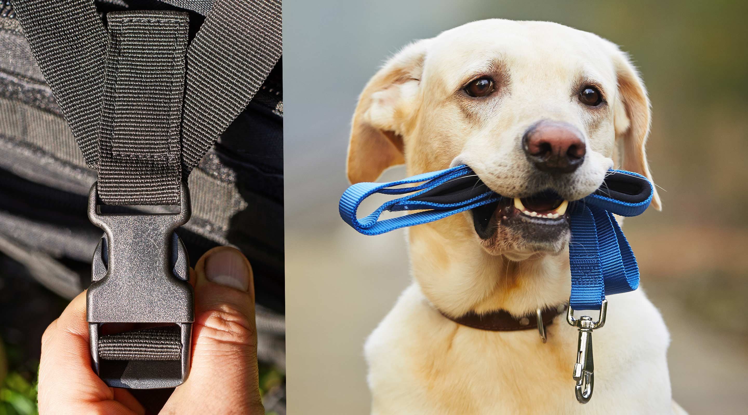 maDDma Rollladengurt 12m PP Gurtband, Polypropylen, 25mm breit, 1,3mm stark, Farbwahl, 330 pastellblau