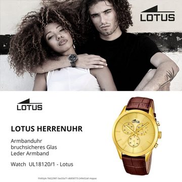 Lotus Chronograph Lotus Herren Uhr Elegant L18120/1 Leder, Herren Armbanduhr rund, groß (ca. 43,2mm), Lederarmband braun