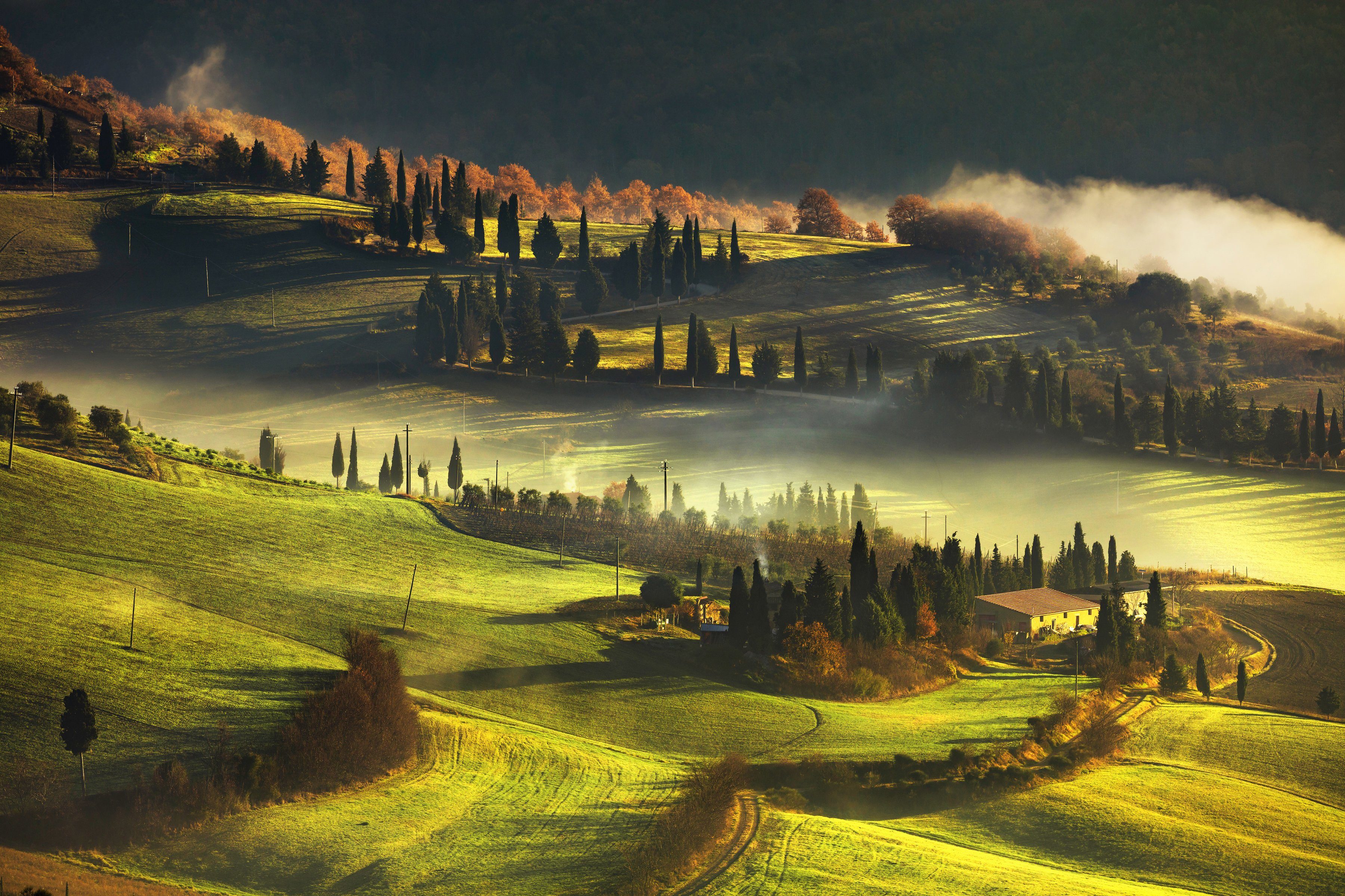 BÄUME ALPEN NATUR Fototapete Papermoon GEBIRGE BERGE WALD LANDSCHAFT-HERBST