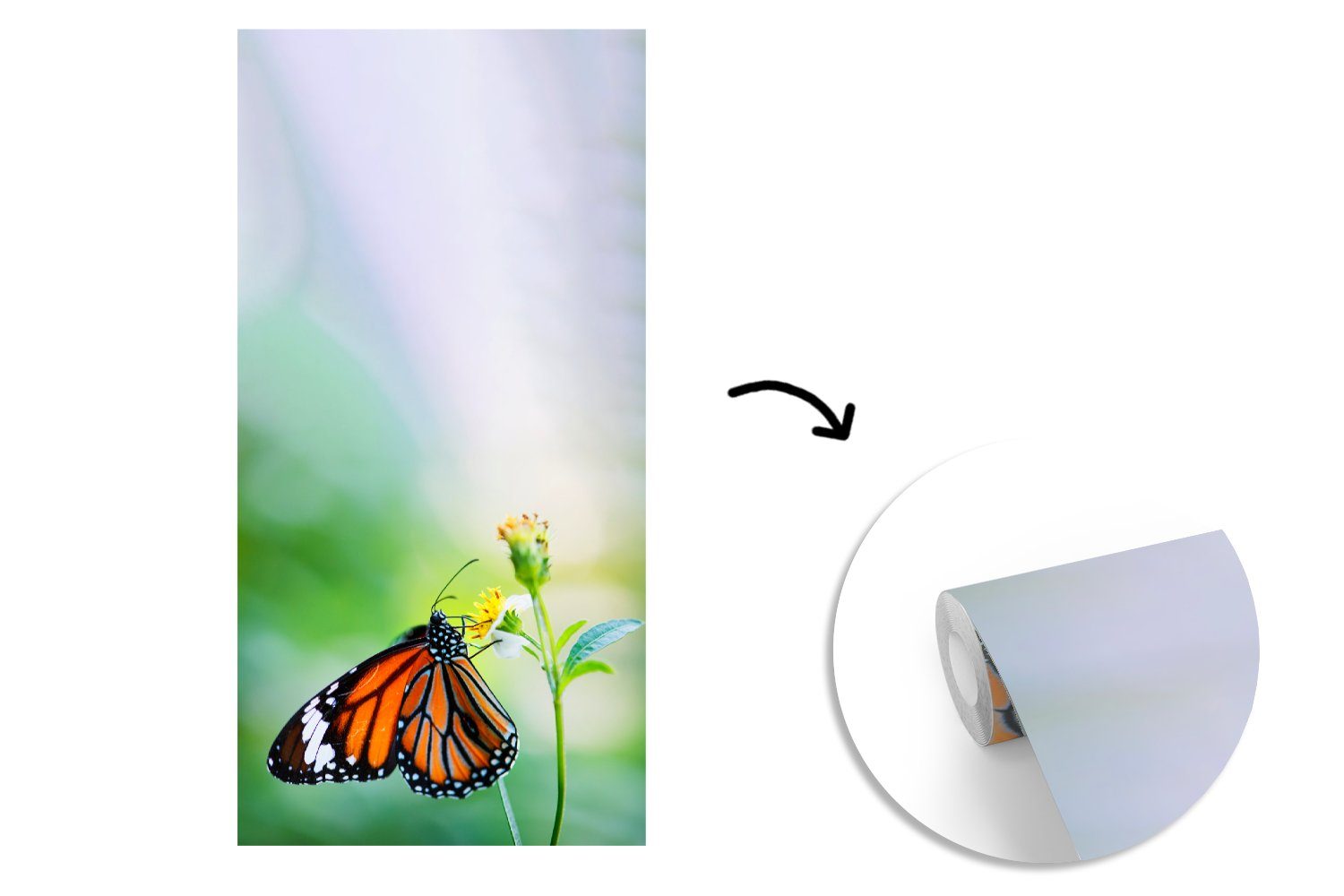 (2 Blumen St), für - - Insekten, Fototapete Wohnzimmer Schlafzimmer Matt, MuchoWow Küche, bedruckt, Vliestapete Schmetterling Fototapete