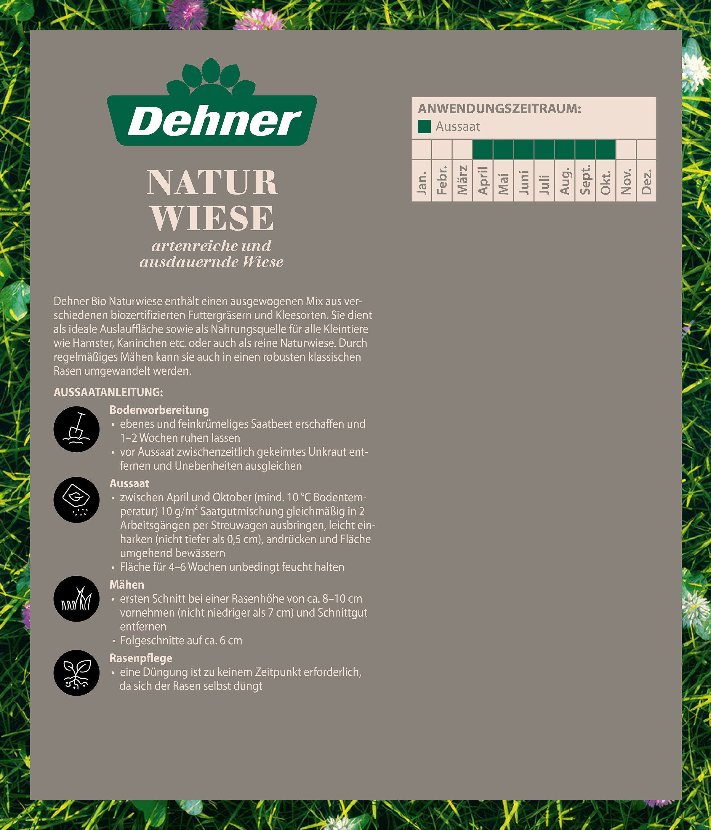 Dehner Rasensamen Bio Saatgut Naturwiese, insektenfreundlich, pflegeleicht, 250 g, 25 m², strapazierfähig, für naturnahe Gärten, lebendige Naturflächen – Bild 4 von 5