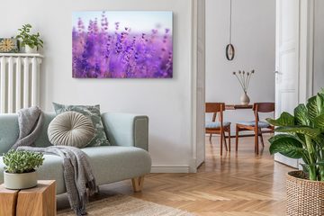 Sinus Art Leinwandbild 120x80cm Wandbild auf Leinwand Lavendel Lavendelfeld Natur Violett Blu, (1 St)