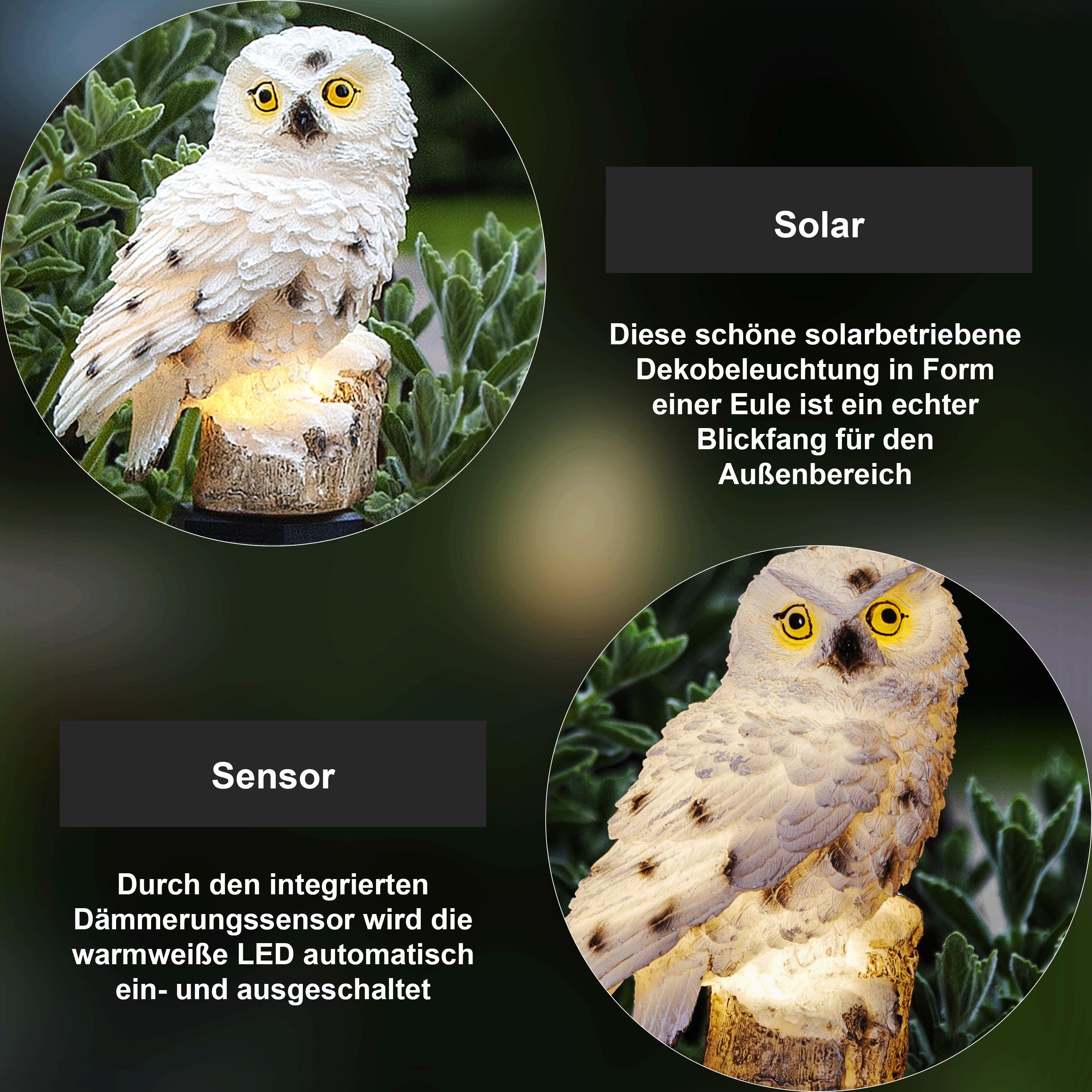 Solar TRADING Dekolicht LED Owl, Star Owl Trading STAR Wegeleuchte
