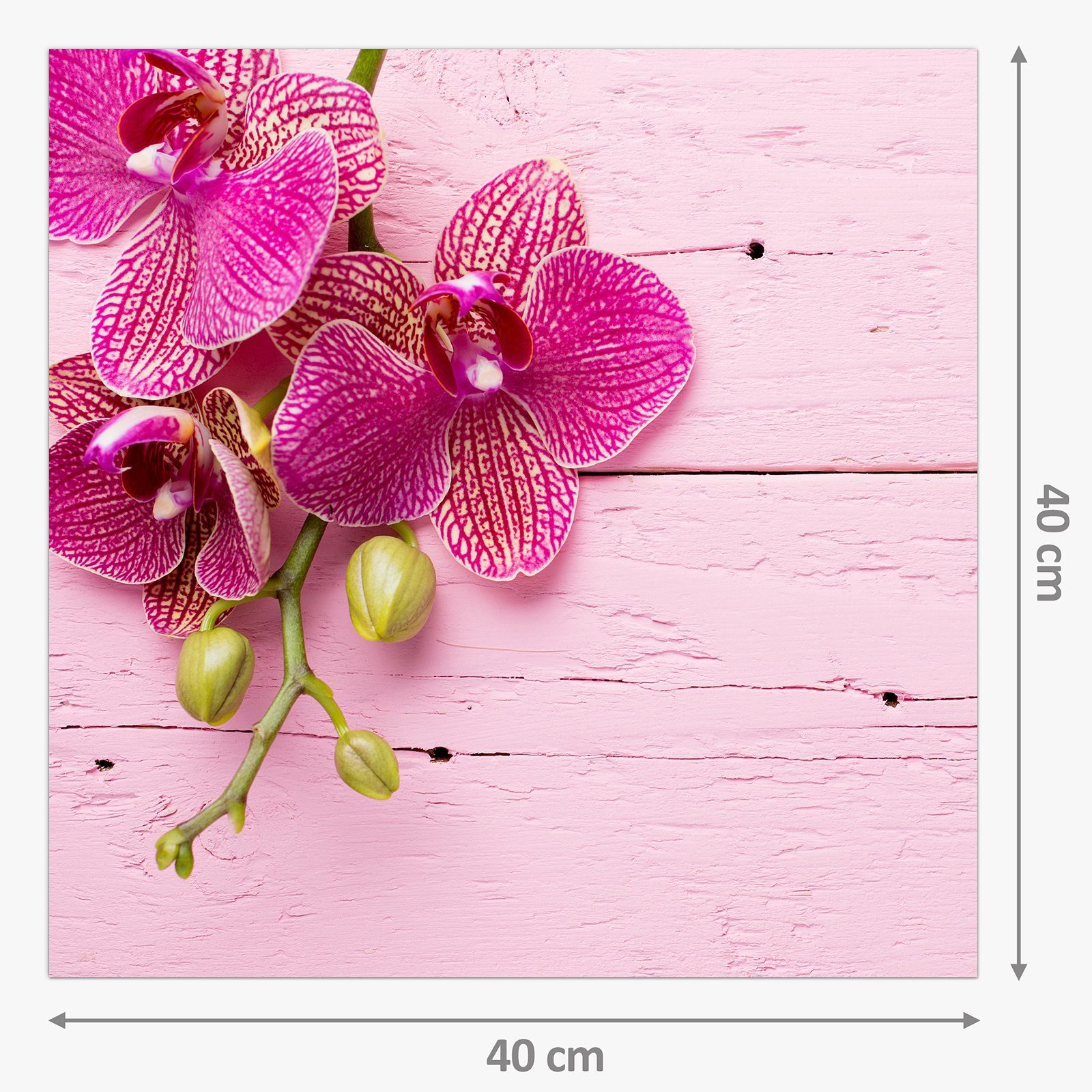 Orchideenzweig auf Spritzschutz Motiv Primedeco mit Glas Küchenrückwand Küchenrückwand Holz