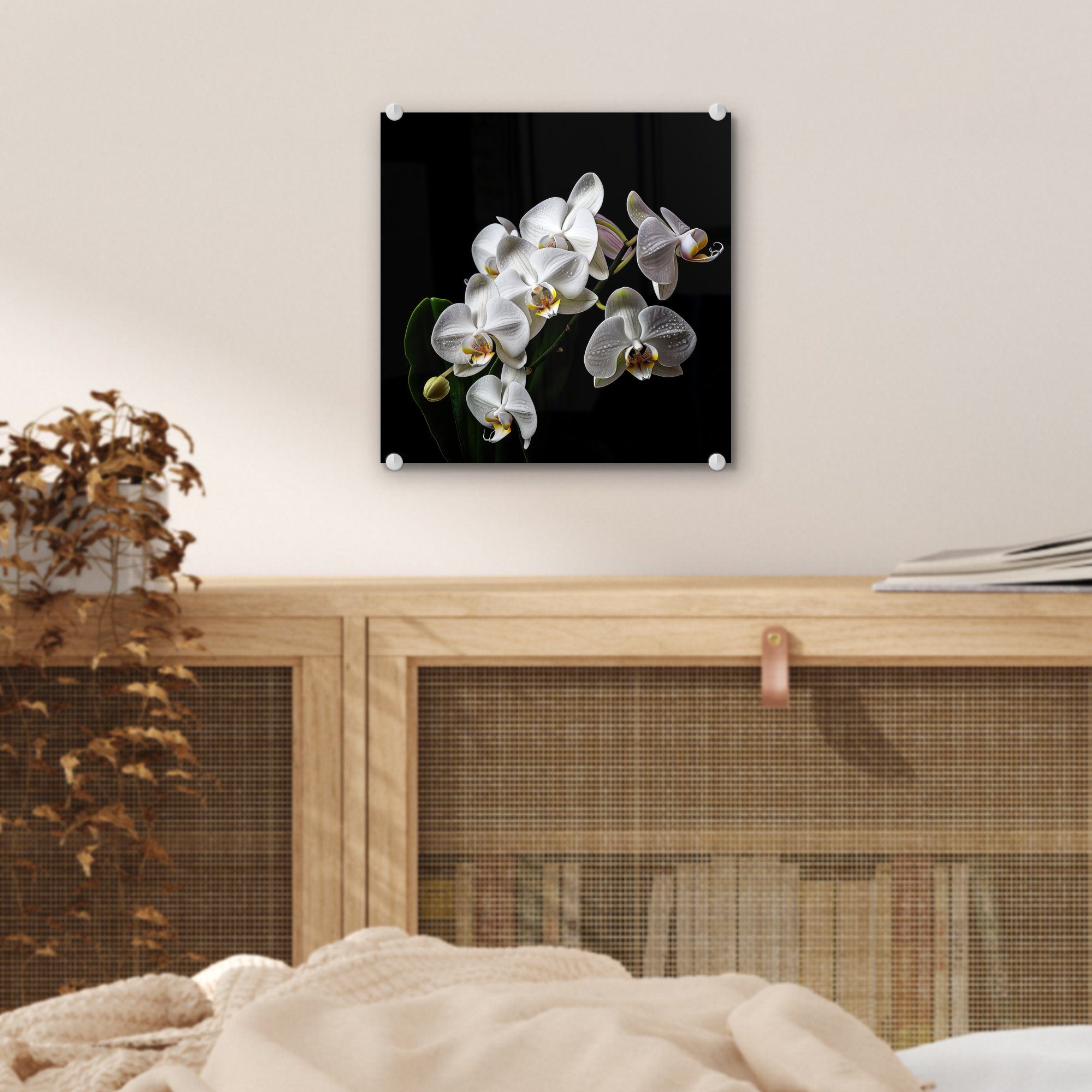 Wanddekoration Blumen - Orchidee (1 auf MuchoWow Acrylglasbild Foto auf - Natur - Glas Wandbild - Weiß Bilder Glas St), - - - Glasbilder Schwarz,