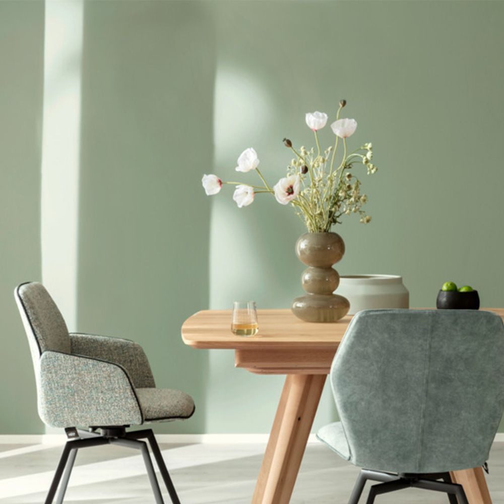 SCHÖNER WOHNEN FARBE Wandfarbe SW Trend Wandfarbe matt 2,5L Olive 6573