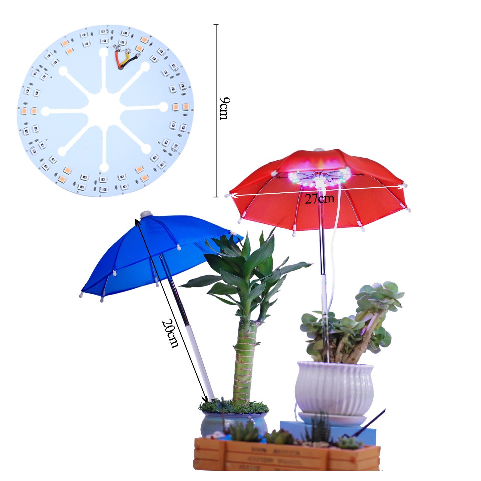 Sukkulente Spektrum Kleiner Dimmbar Mini Pflanzenleuchte, Zimmerpflanzen Pflanzenlampe Rot mit Voll Zeitschaltuhr Wachstumslampe Time, Leuchte, Grow Sunicol 48LED,