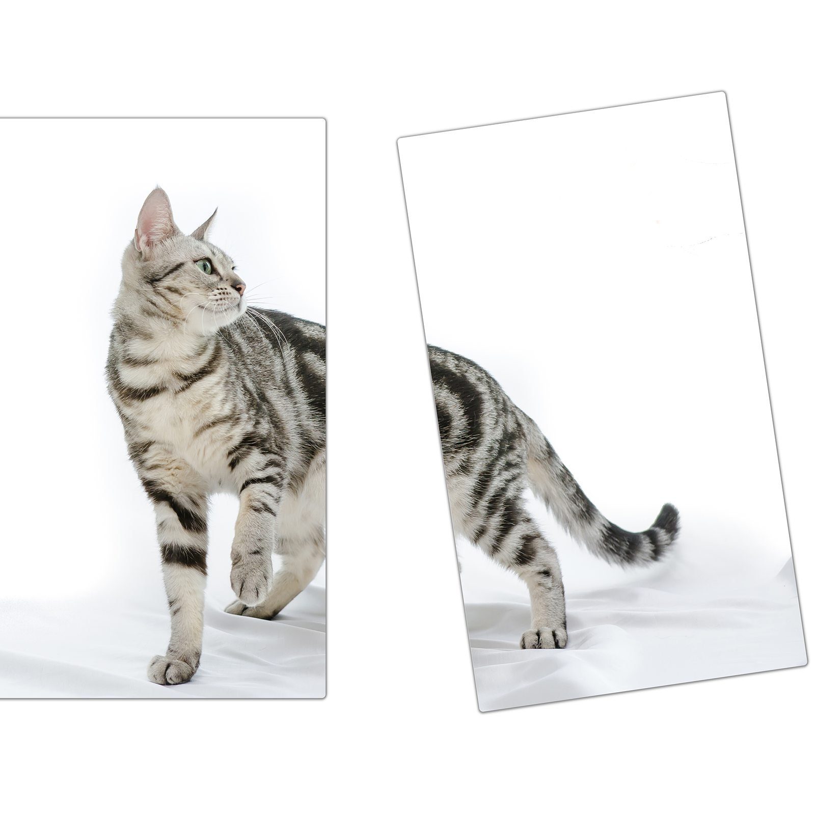 Primedeco Herd-Abdeckplatte Herdabdeckplatte Spritzschutz aus Glas Getigerte Katze, Glas, (2 tlg) | Herdabdeckplatten