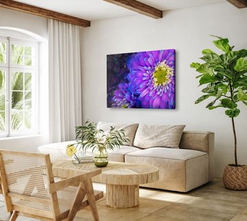 Sinus Art Leinwandbild 120x80cm Wandbild auf Leinwand Violette Blumen Blüten Makrofotografie, (1 St)