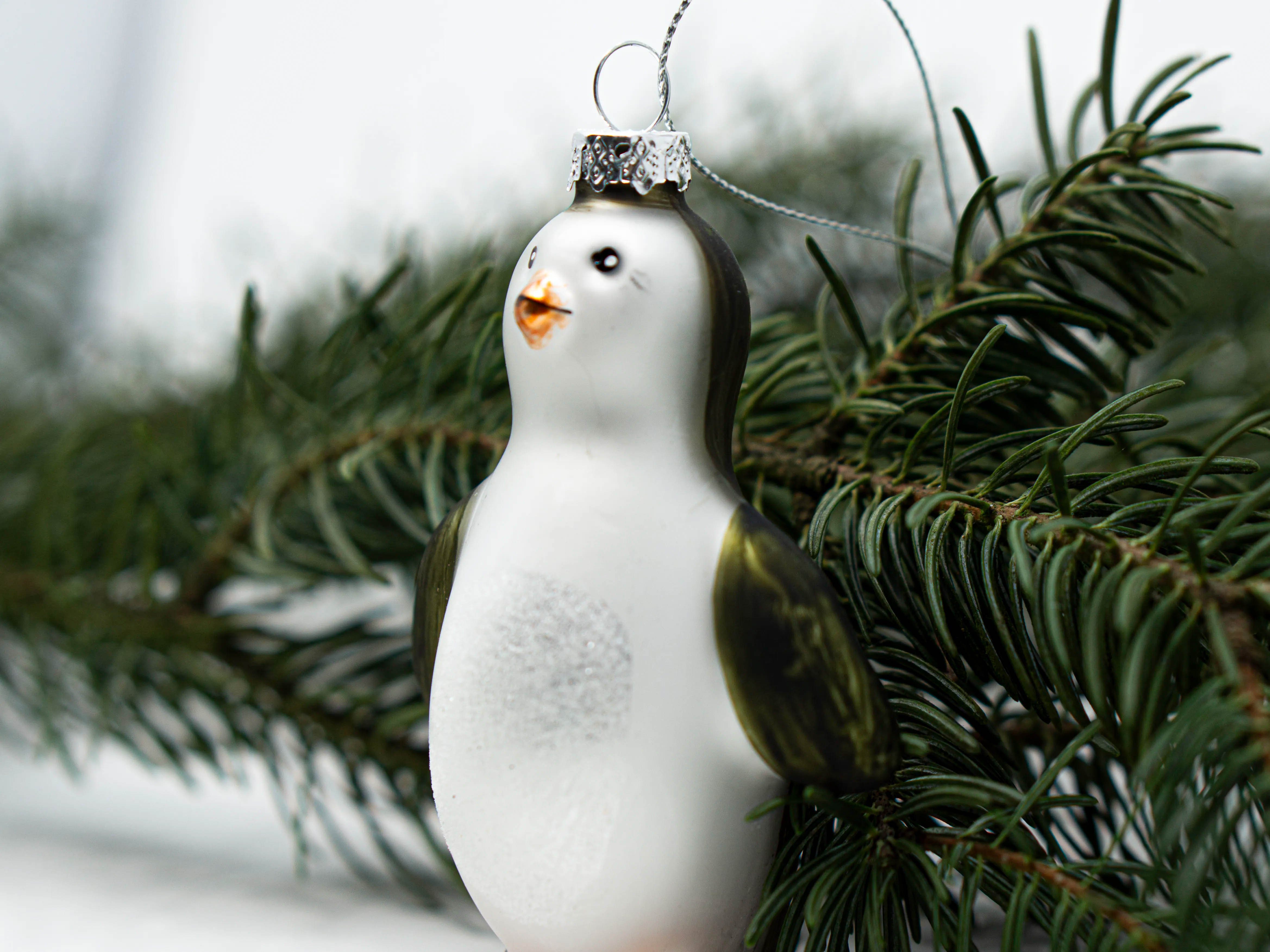 - Weihnachtskugel Weihnachtsbaumkugel Nature Nature Planet Pinguin Planet