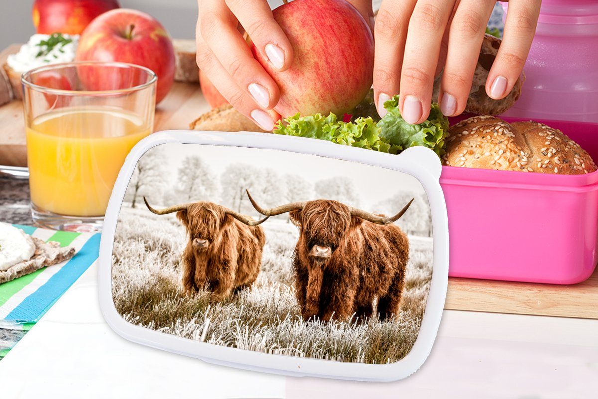 MuchoWow Lunchbox Natur für Kunststoff, Kuh Brotdose - Kinder, Schottischer - Snackbox, Erwachsene, (2-tlg), Mädchen, Kunststoff Winter, - Hochländer Brotbox rosa