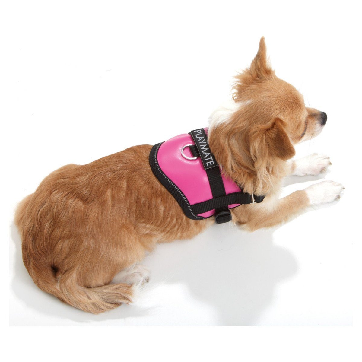 Thumbnail - Karlie Hunde-Powergeschirr Teeny Weeny Geschirr schwarz