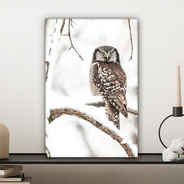 OneMillionCanvasses® Leinwandbild Eule - Schnee - Winter - Vögel - Porträt, (1 St), Leinwandbild fertig bespannt inkl. Zackenaufhänger, Gemälde, 20x30 cm